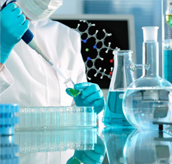 技術?法律サポート